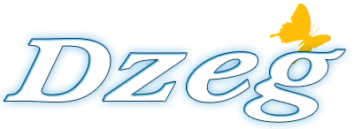 Dzeg Logo